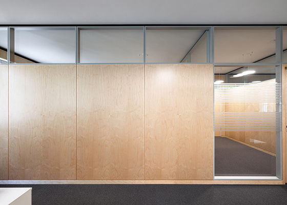 نظام الحائط الحائطي الزجاجي الصلب المقطوع مع الباب